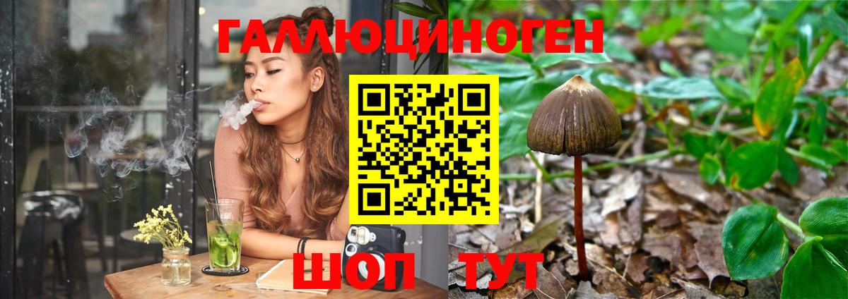 Галлюциногенные грибы Magic Shrooms Родники