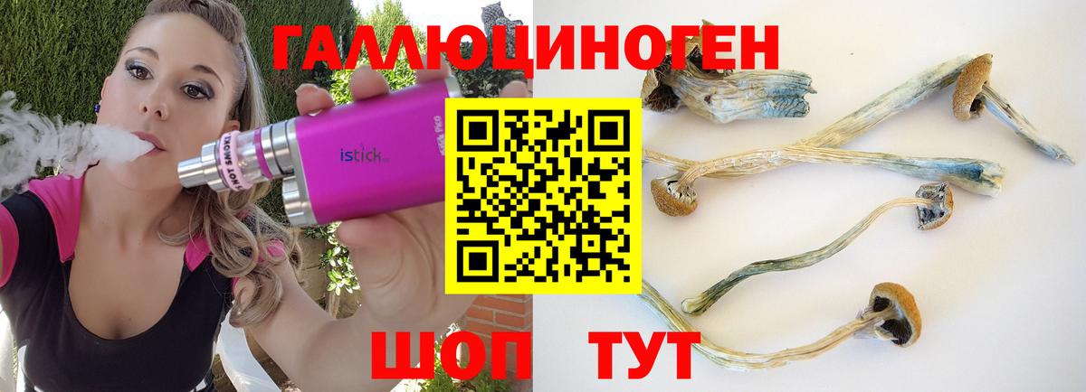 Родники  даркнет сайт  Вход с VPN  Псилоцибиновые грибы Cubensis 